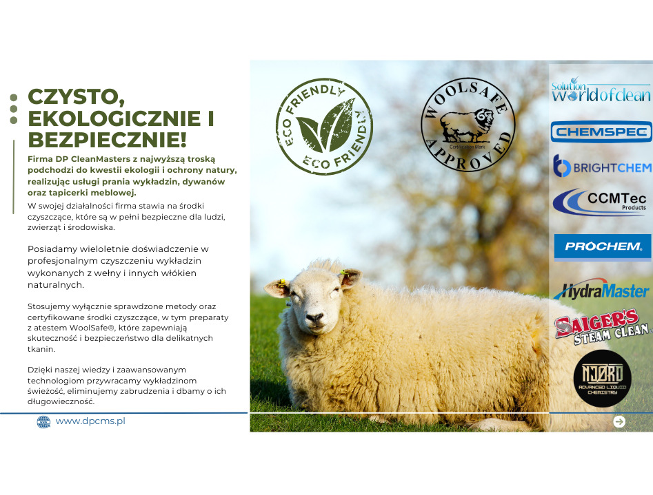 Reklama firmy DP CleanMasters z owcą na trawie, podkreślająca ekologiczne pranie dywanów i tapicerki z wełny, certyfikowane WoolSafe.