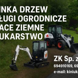 Wycinka drzew Chynów 1