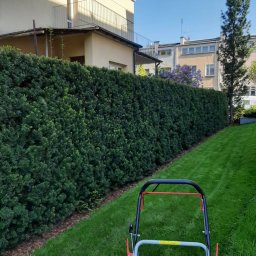 ZK SPÓŁKA Z OGRANICZONĄ ODPOWIEDZIALNOŚCIĄ - Równy żywopłot z ciemnozielonych krzewów, świeżo skoszony trawnik i kosiarka na pierwszym planie. Tło: budynek mieszkalny i drzewa.