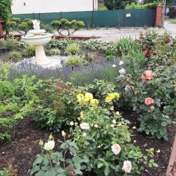 ZK SPÓŁKA Z OGRANICZONĄ ODPOWIEDZIALNOŚCIĄ - Ogród z fontanną i różami w różnych kolorach, lawenda, ozdobne drzewka. Widok na dom i zielone ogrodzenie. Kompozycja kwiatowa w stylu angielskim.