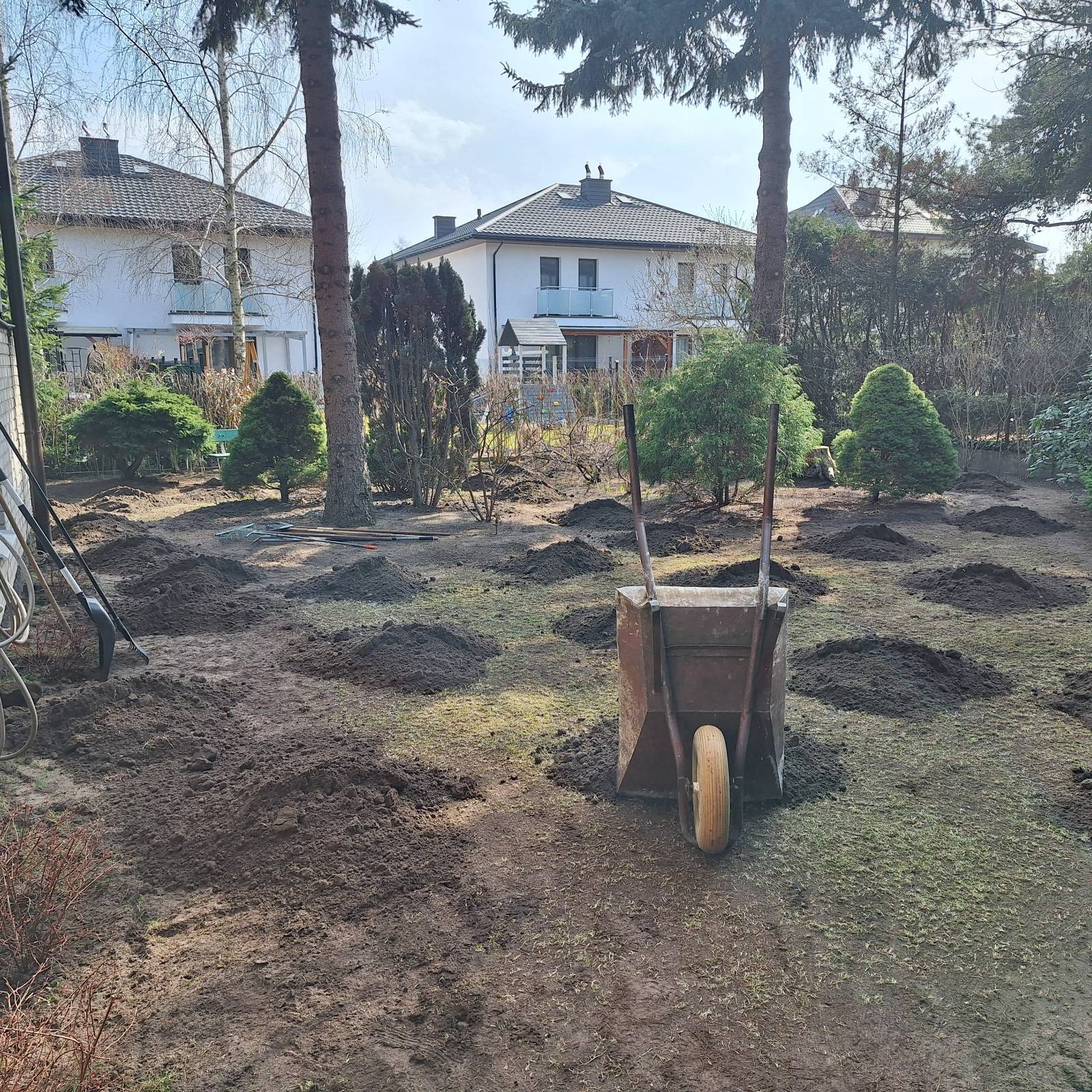 Przygotowanie terenu pod ogród: pryzmy ziemi i taczka na trawniku, domy w tle. Prace ziemne przed założeniem ogrodu, widok na posesję w słoneczny dzień.