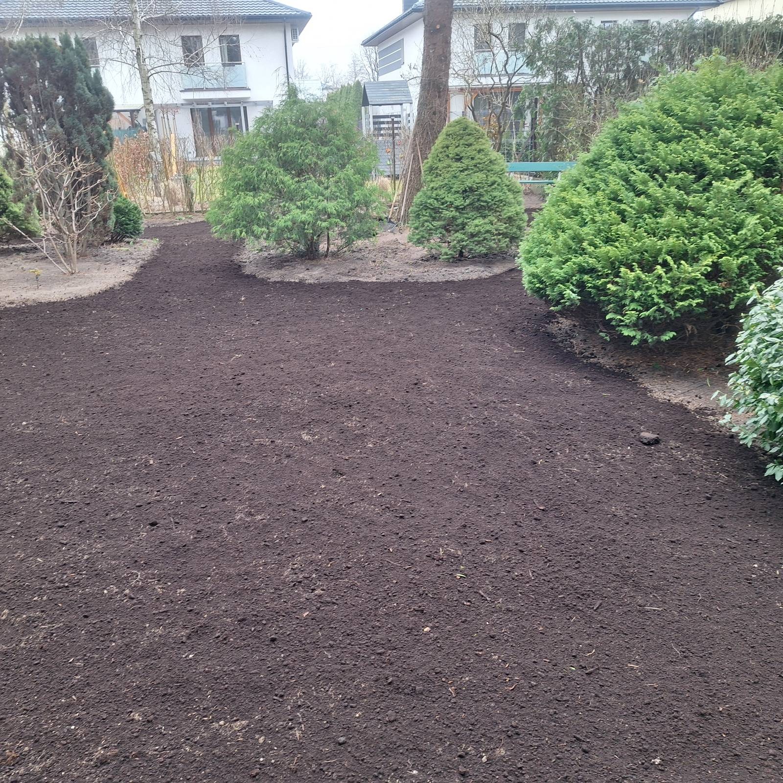 Przygotowany teren pod trawnik z widocznymi drzewami iglastymi i budynkiem w tle. Świeżo przekopana ziemia gotowa do siewu trawy.