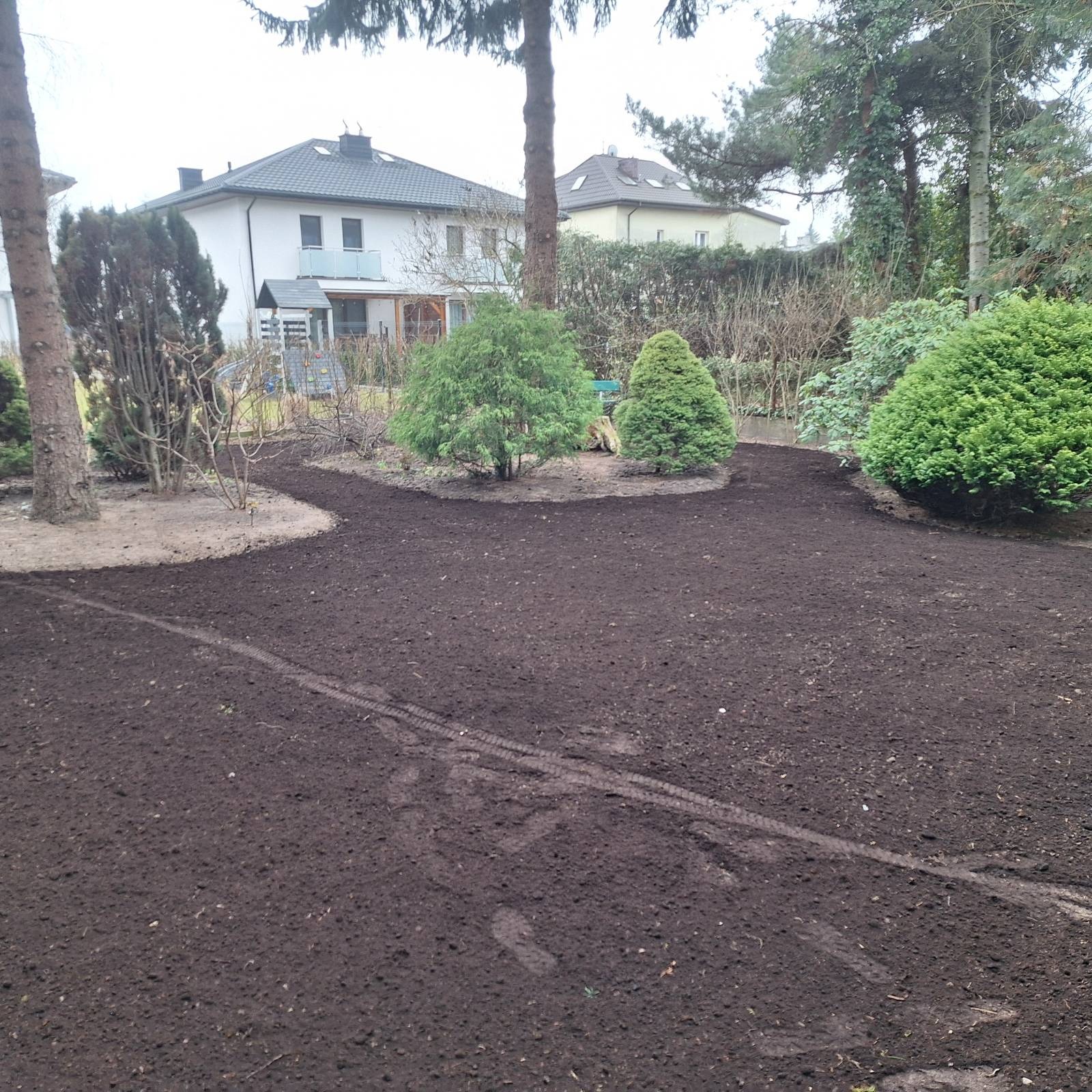 Przygotowany teren pod trawnik z widocznymi śladami opon, krzewami i drzewami iglastymi na tle zabudowy jednorodzinnej w pochmurny dzień.