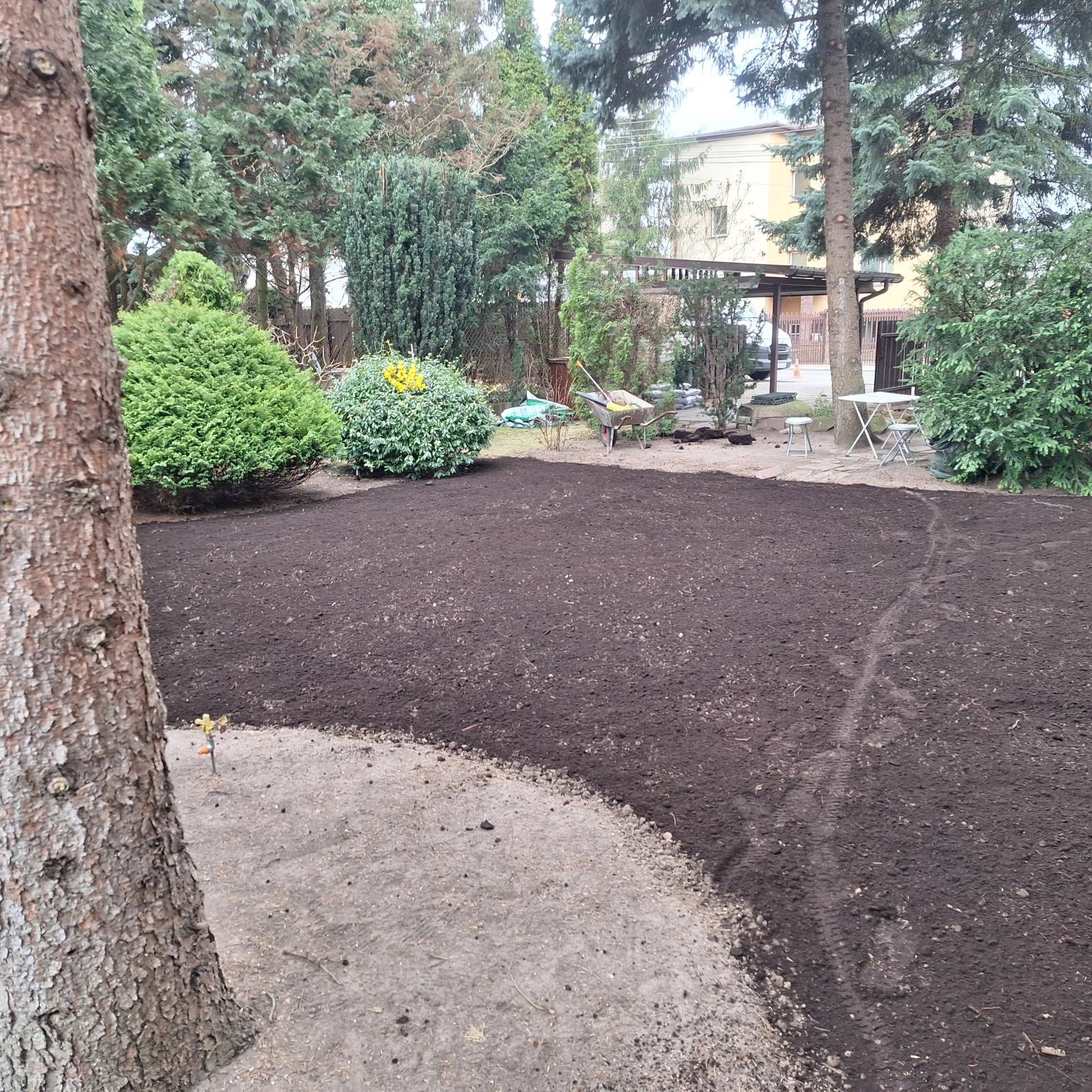 Przygotowany teren pod trawnik z widocznymi krzewami, drzewami i narzędziami ogrodniczymi w tle. Świeżo nawieziona ziemia czeka na zasianie trawy.