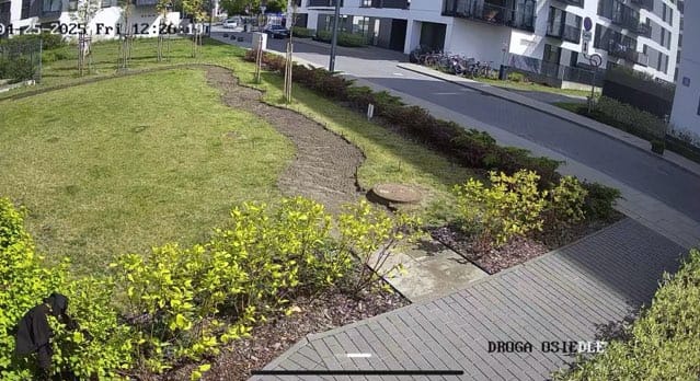 Fragment ogrodu z trawnikiem, ścieżką z ziemi, rabatami z krzewami i chodnikiem. W tle budynek mieszkalny i ulica. Osoba w czarnym ubraniu przy krzewach.