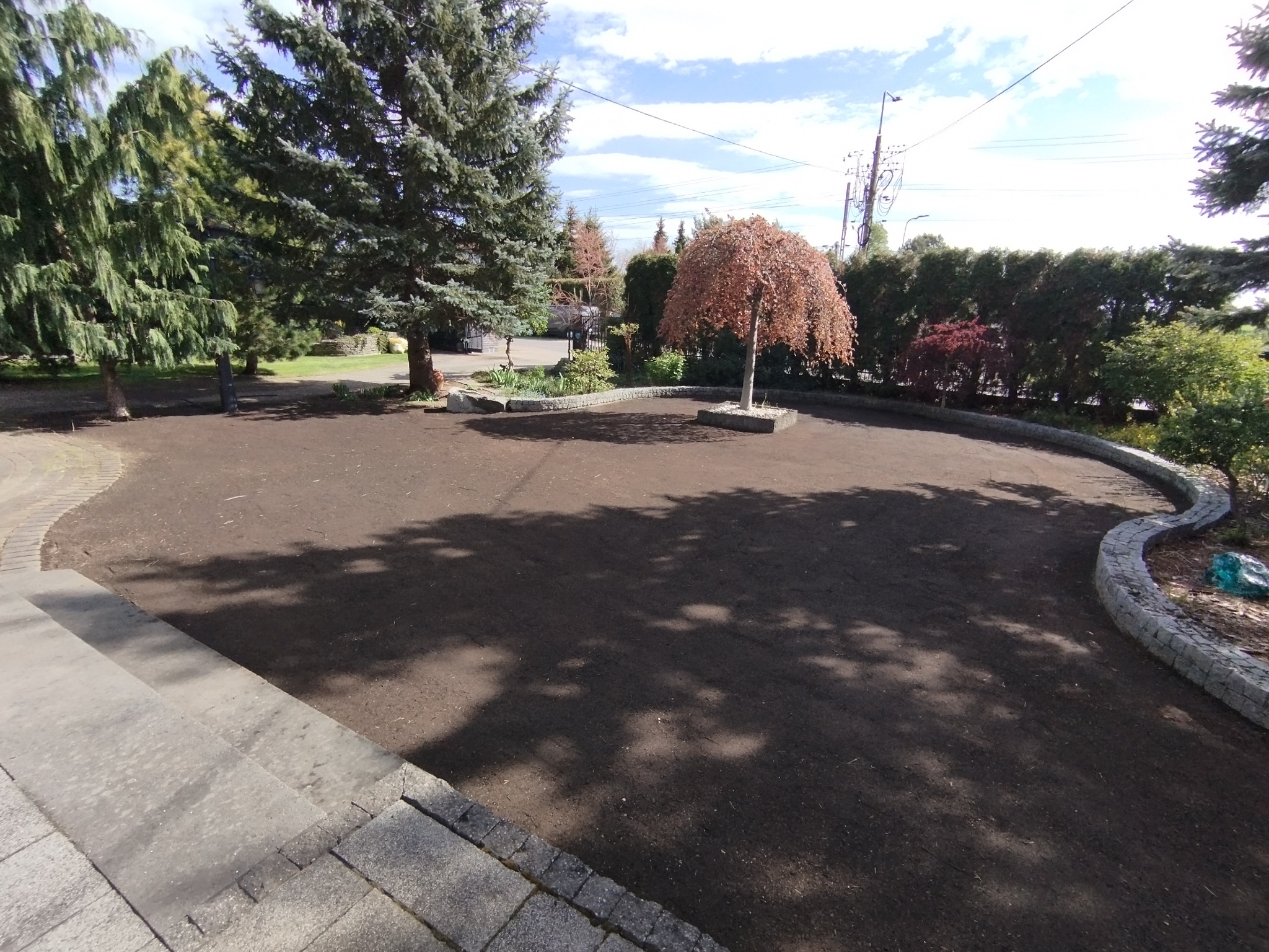 Przygotowany teren pod zasiew trawy z nasion. Widoczne drzewa i krzewy ozdobne. Obrzeża z kamienia. Ziemia wyrównana i gotowa do siewu.