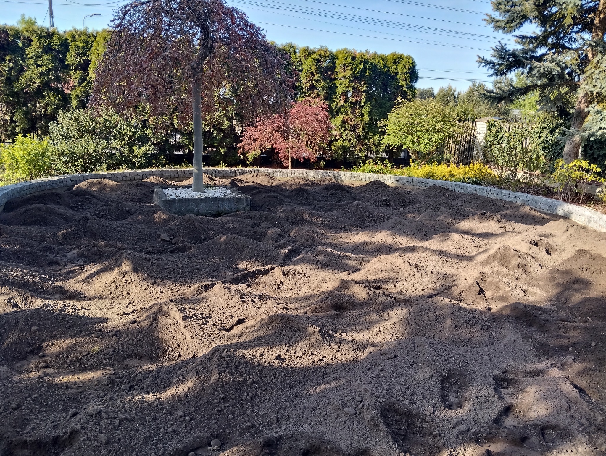 Przygotowany teren pod trawnik otoczony kamiennym obrzeżem. Widoczne drzewa i krzewy w tle, w słoneczny dzień. Ziemia spulchniona, gotowa do siewu lub rozłożenia trawy z rolki.
