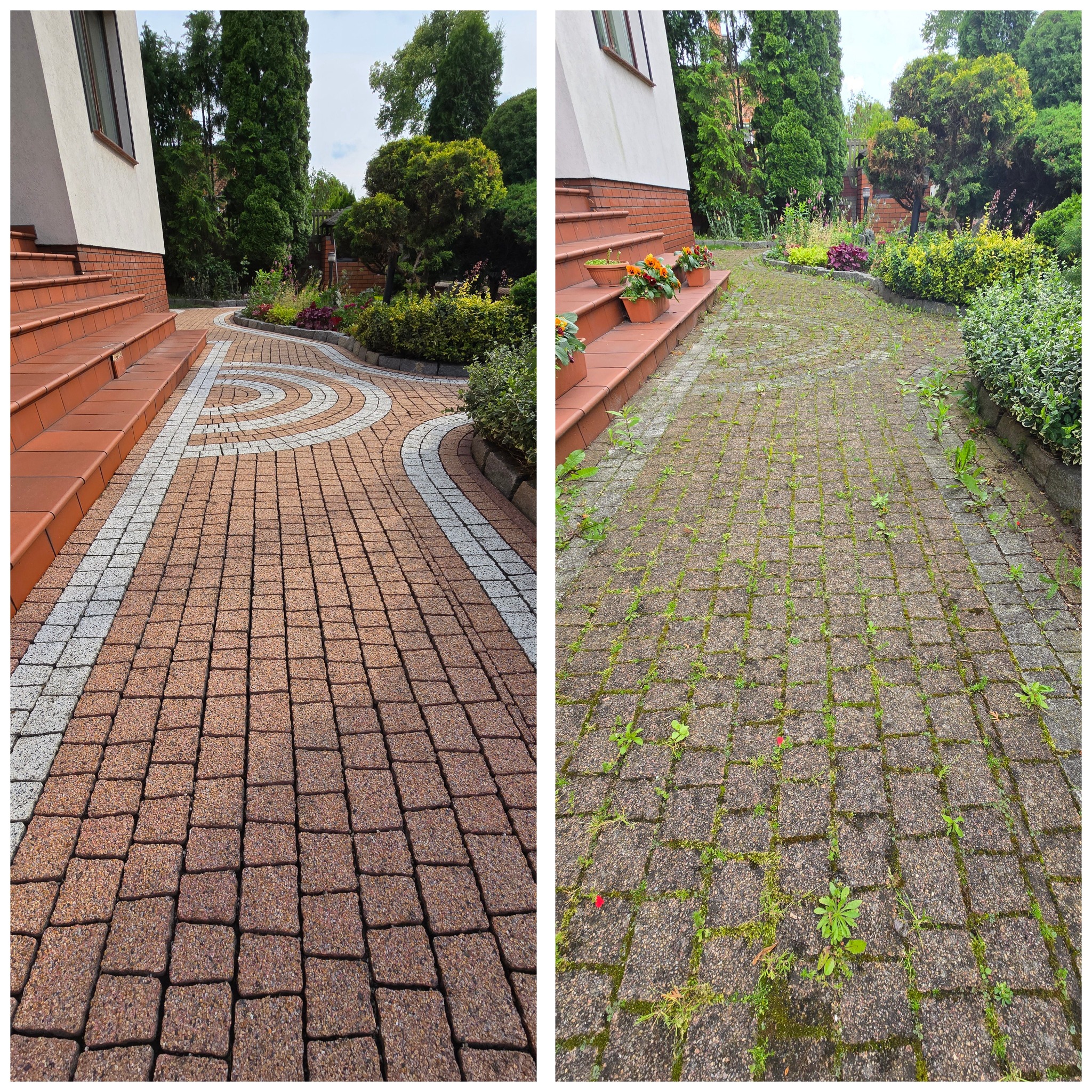Porównanie kostki brukowej przed i po. Lewa strona czysta, prawa z mchem i chwastami. Widoczne schody i zieleń w tle.
