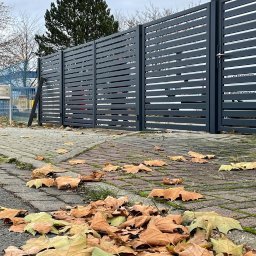 RAFA - Nowoczesne ogrodzenie panelowe w kolorze grafitowym z poziomymi szczeblami, jesienne liście na brukowanym chodniku. Widok z dołu, pochmurne niebo.