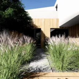 Nowoczesny ogród: ścieżka z płyt prowadząca do budynku, obsadzona ozdobnymi trawami, drewniana elewacja, minimalistyczna architektura. Słoneczny dzień.