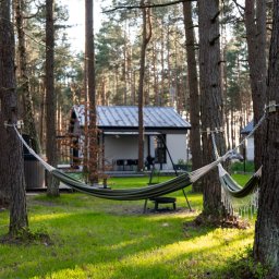 Studio Salach - Leśny krajobraz z hamakiem zawieszonym między drzewami, w tle domki letniskowe z szarymi dachami, zielona trawa i drzewa iglaste.