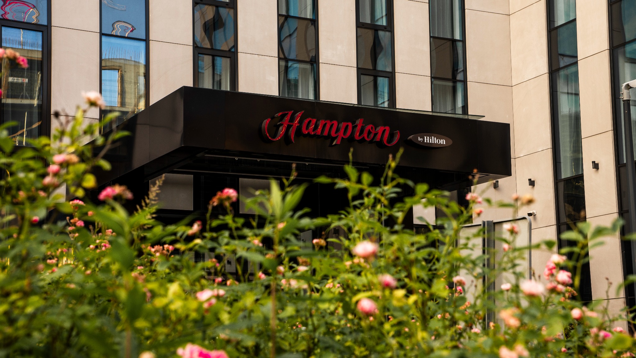 Elewacja hotelu Hampton by Hilton w Jaworznie z bliska, zza kwitnących róż, ukazująca wejście i logo. Widoczne refleksy w oknach i nowoczesna architektura.