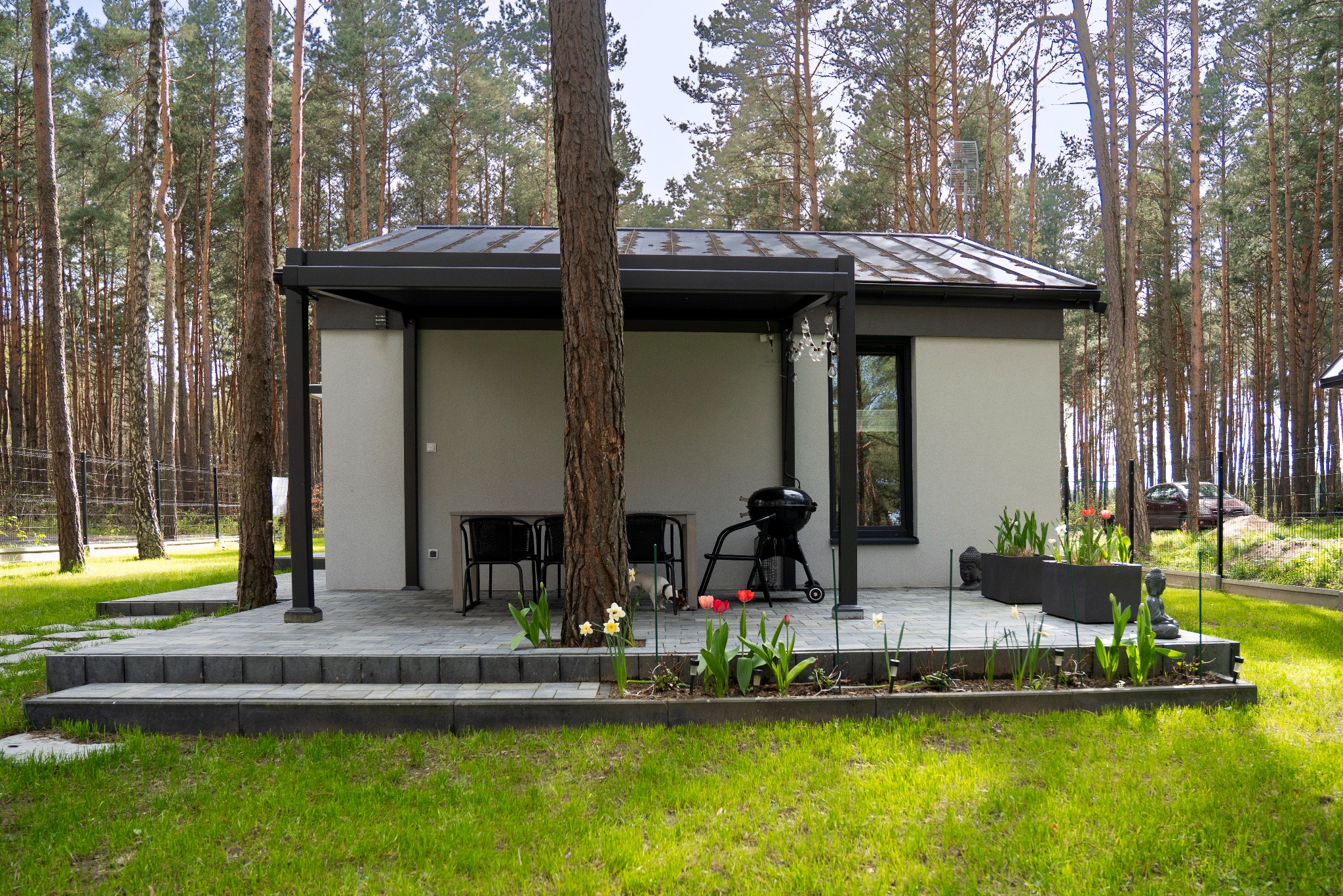 Nowoczesny dom z tarasem i grillem w otoczeniu lasu sosnowego. Widoczne meble ogrodowe, kwiaty i starannie ułożona kostka brukowa. Ujęcie w słoneczny dzień.