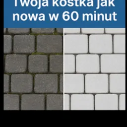 Kostka brukowa: połowa wyczyszczona, druga pokryta mchem. Kontrast czystości, efekt 'przed i po' w 60 minut. Prezentacja usługi czyszczenia.