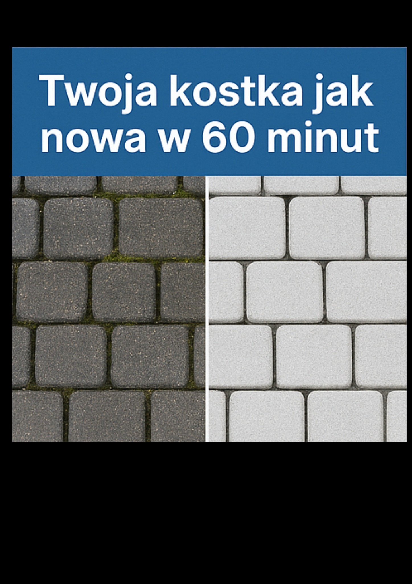 Kostka brukowa: połowa wyczyszczona, druga pokryta mchem. Kontrast czystości, efekt 'przed i po' w 60 minut. Prezentacja usługi czyszczenia.