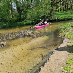 Turystyka, sport, rekreacja, usługi Zwierzyniec 2