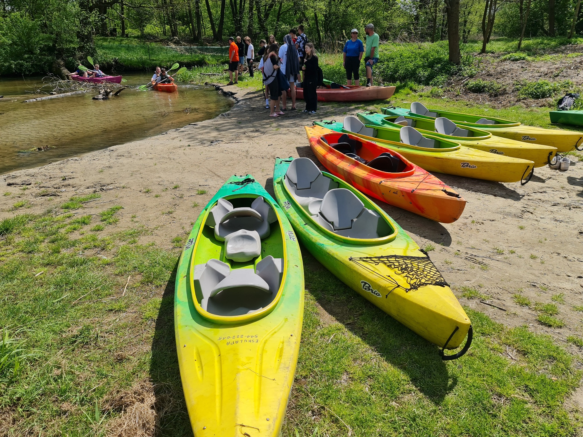 Kolorowe kajaki Brio na piaszczystym brzegu rzeki, grupa ludzi w tle, wiosła, zielone drzewa. Aktywny wypoczynek na wodzie, spływ kajakowy w słoneczny dzień.