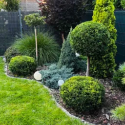 Aranżacja ogrodu z formowanymi krzewami, ozdobnymi trawami i kulistymi lampami, otoczona zielonym trawnikiem i ogrodzeniem z siatki.