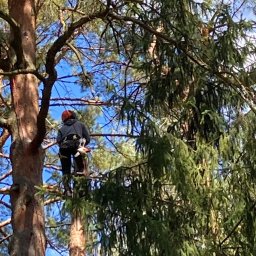 Zielony Świat - Przed domem Warszawa