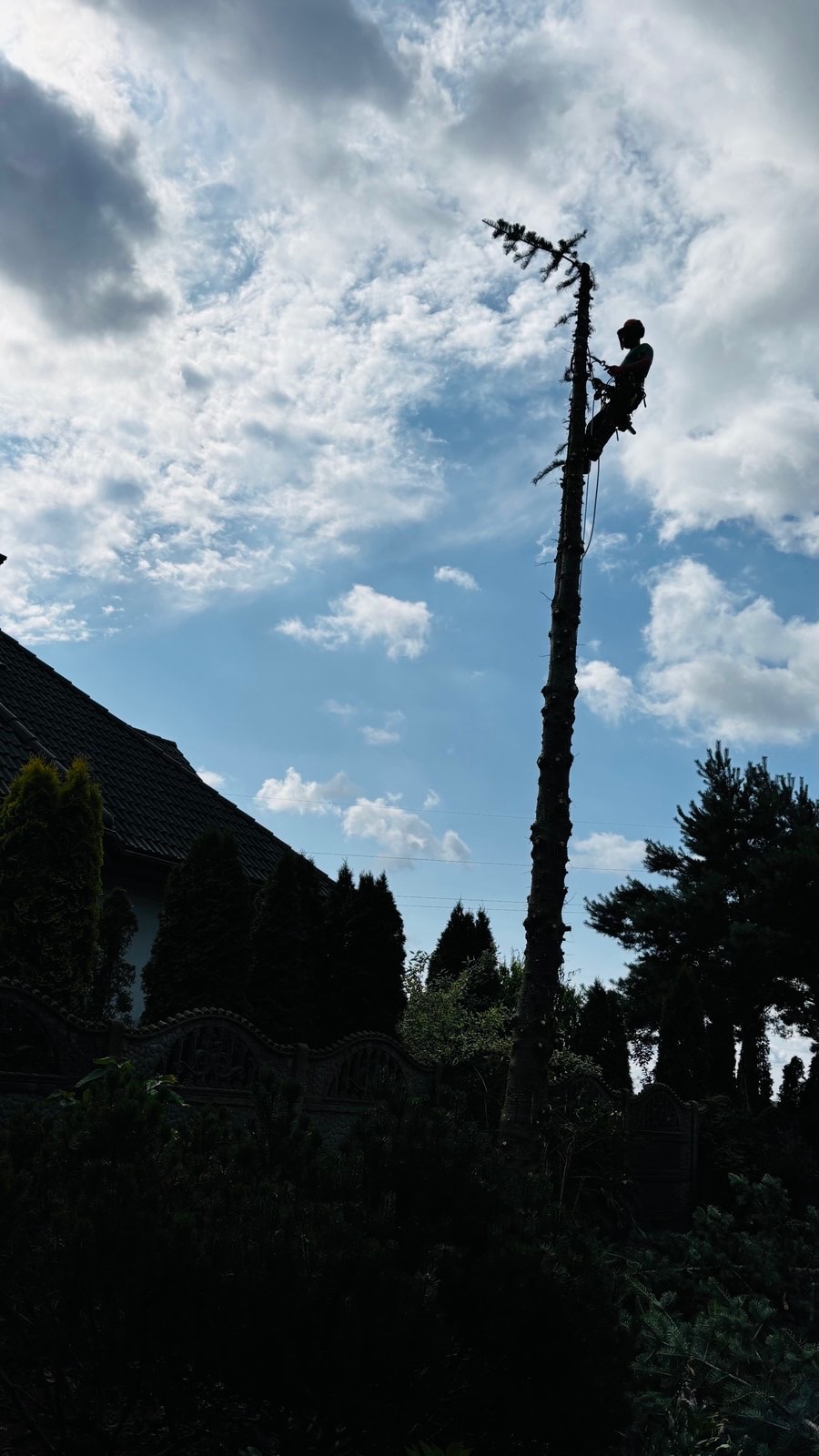 Arborysta w kasku, w trakcie wycinki drzewa na tle błękitnego nieba z chmurami. Pień drzewa po obcięciu gałęzi, dom w tle. Prace w ogrodzie.