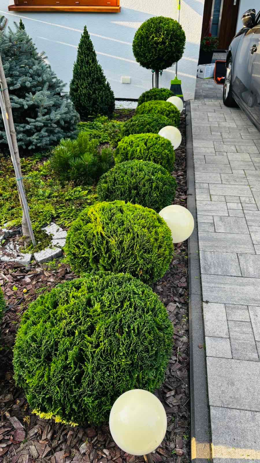 Ogród z równo przyciętymi krzewami w kształcie kul, oświetlonymi kulistymi lampami, obok ścieżki z kostki brukowej i domu z białymi ścianami.