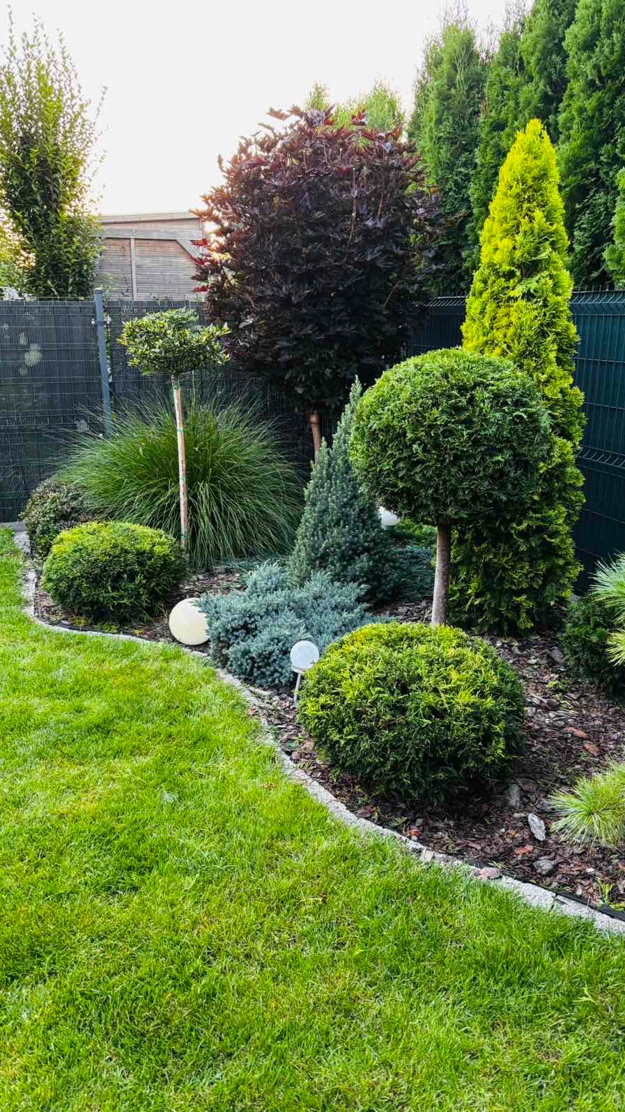 Aranżacja ogrodu z formowanymi krzewami, ozdobnymi trawami i kulistymi lampami, otoczona zielonym trawnikiem i ogrodzeniem z siatki.