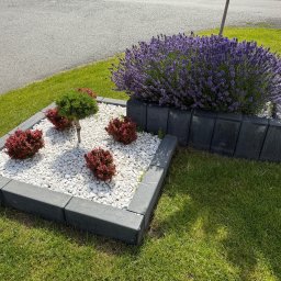 Gospodarstwo ogrodnicze Arkadiusz Długosz - Trawa w Rolce Zimna Wódka