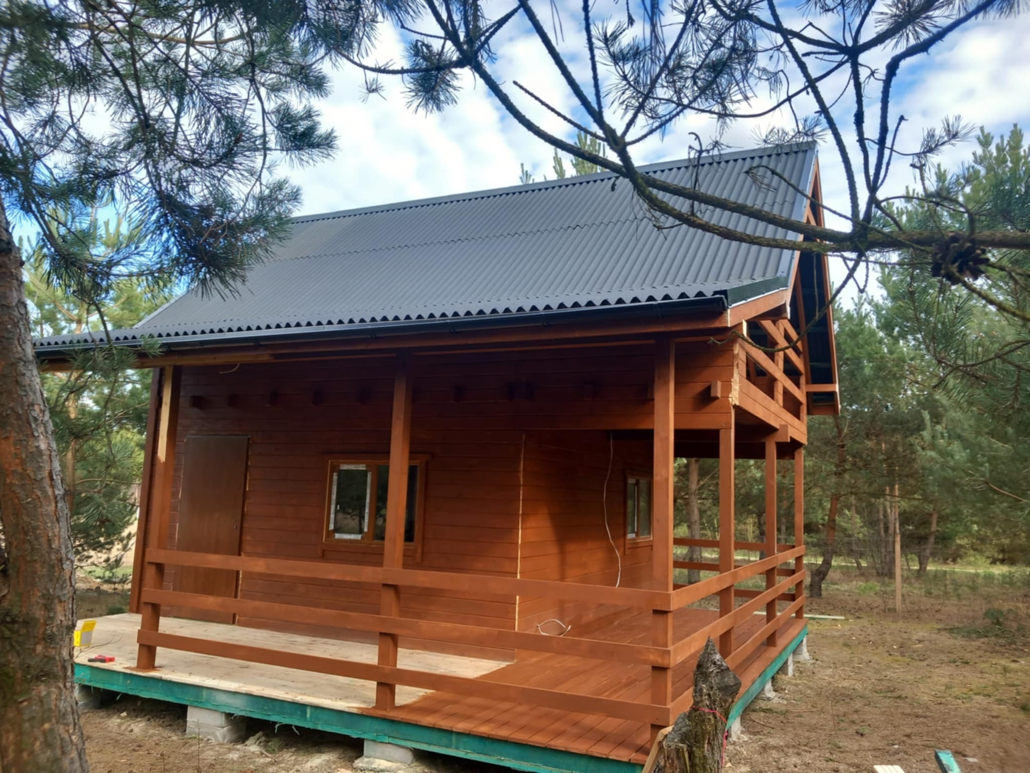 Gotowy, brązowy dom z bali z szarym dachem blachodachówką, otoczony sosnowym lasem, widziany z zewnątrz, w słoneczny dzień. Częściowo widoczne gałęzie drzew.