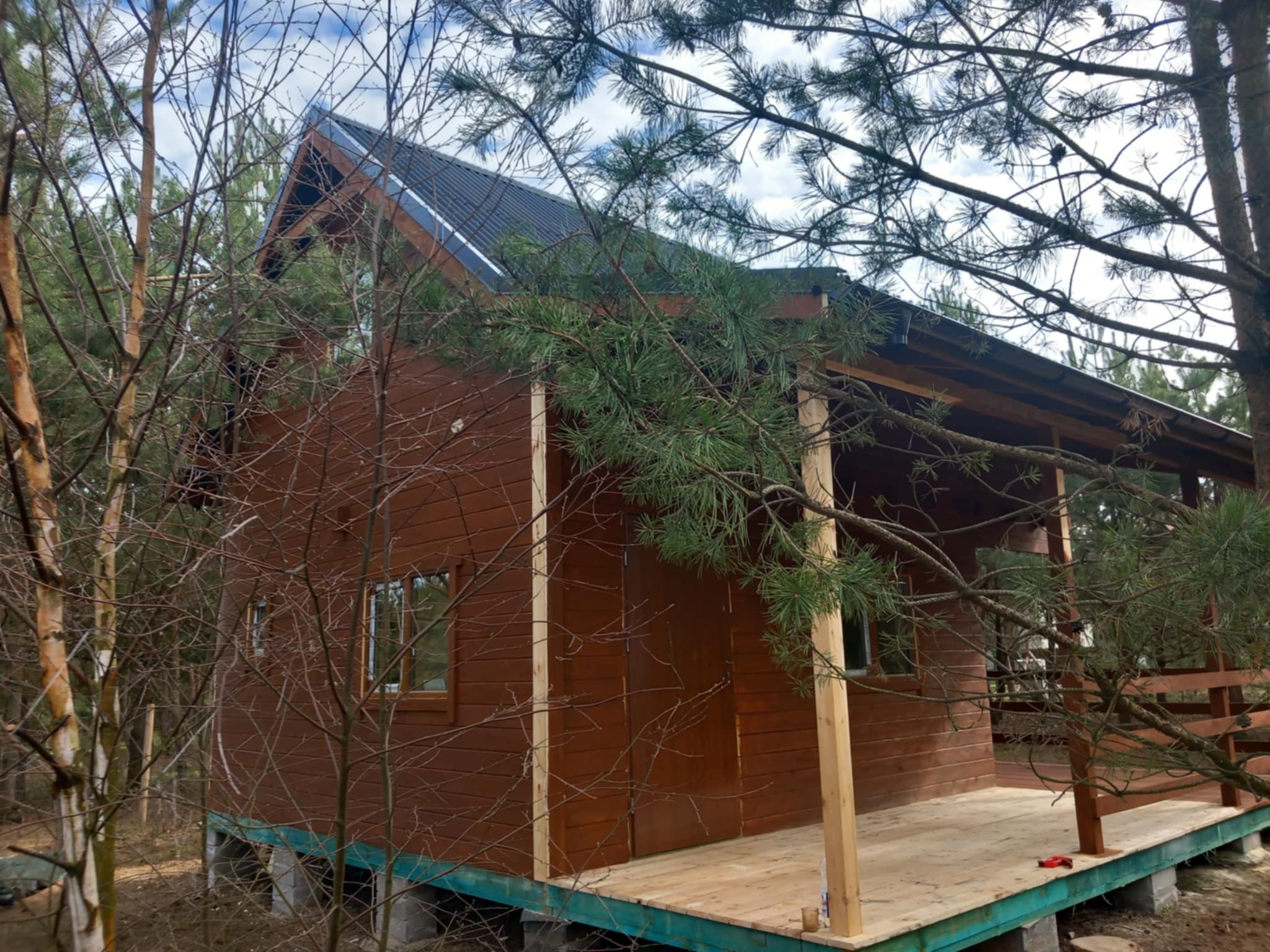 Brunatny dom z bali z ciemnym dachem, częściowo przesłonięty gałęziami drzew. Widoczny taras i fundamenty. Otoczenie leśne.
