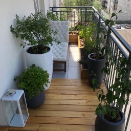 Stolar-RS - Jasny balkon z drewnianą podłogą, roślinami w donicach i metalową balustradą. W tle widoczne budynki mieszkalne i siatka zabezpieczająca. Widok z góry.