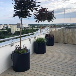 Stolar-RS - Drewniany taras na dachu budynku z trzema donicami z drzewkami ozdobnymi. W tle widok na miasto i błękitne niebo z chmurami.