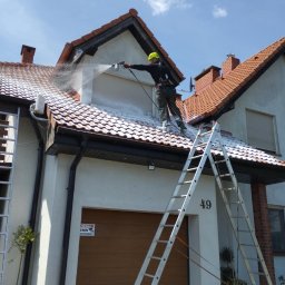 Mycie dachów Jankowo Dolne 4