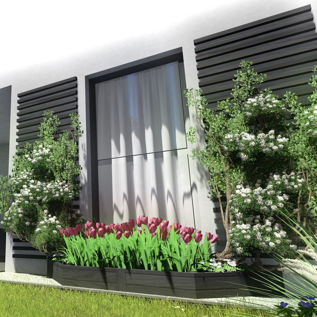 Wizualizacja: Nowoczesny ogród przydomowy z kwitnącymi tulipanami w donicy i krzewami z białymi kwiatami, na tle białej fasady budynku z oknem.