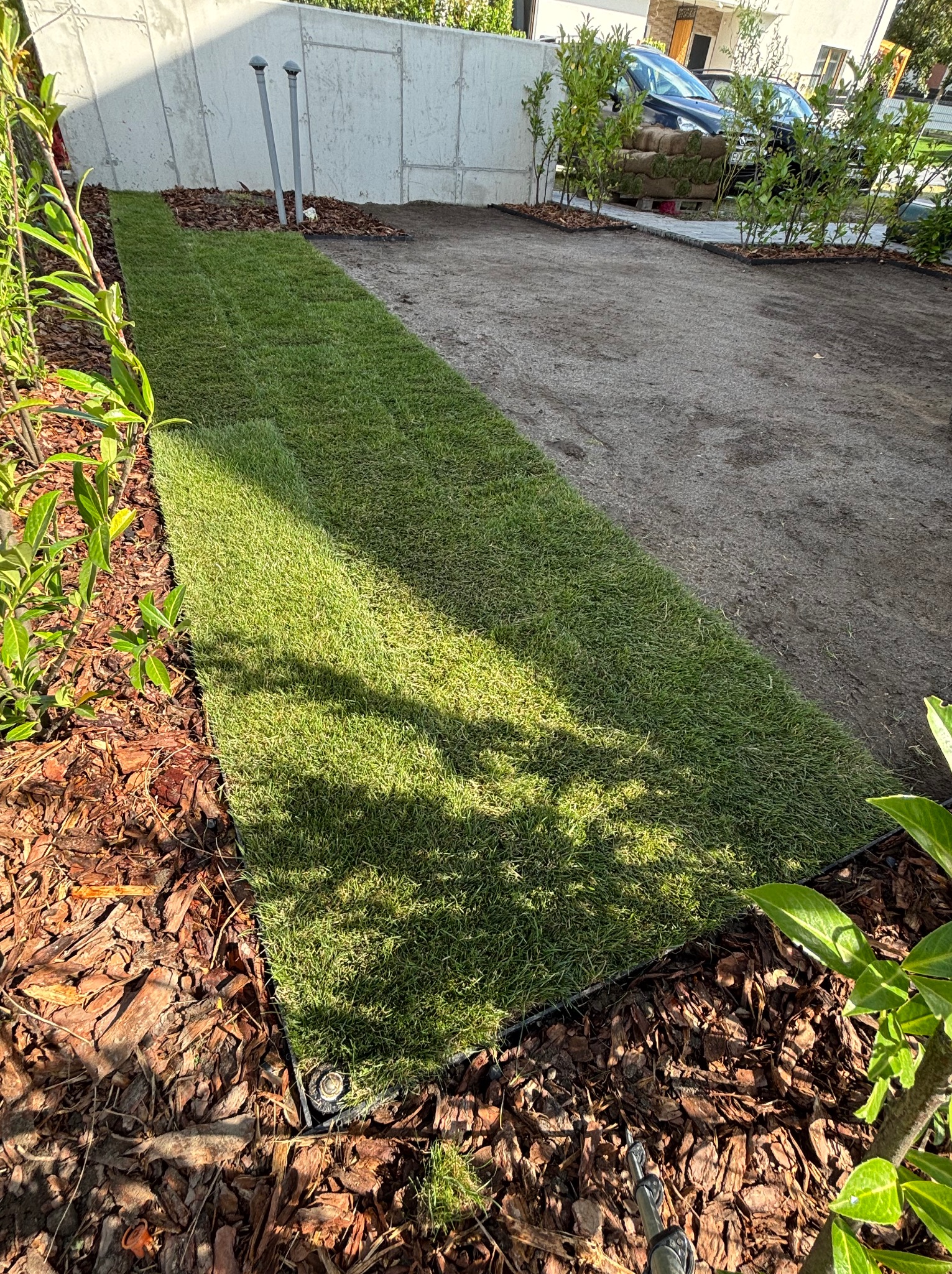 Świeżo ułożona trawa z rolki tworzy zielony pas w ogrodzie, kontrastując z korą drzewną i przygotowanym podłożem. W tle widoczne rolki trawy i fragment domu.