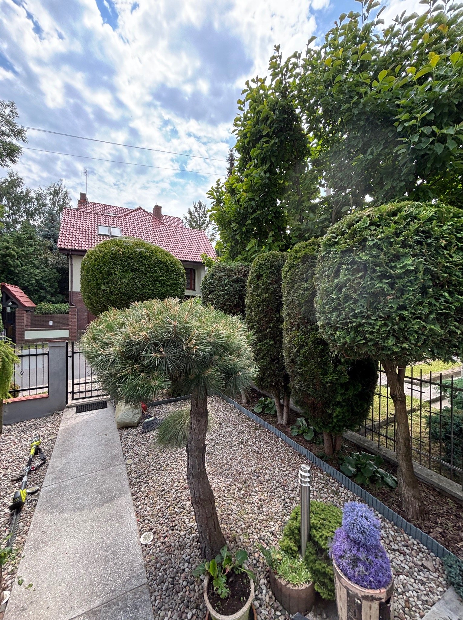 Ogród z formowanymi drzewami i krzewami, ścieżka z kostki, dekoracyjne kamienie, lampa ogrodowa, dom z czerwoną dachówką w tle. Starannie utrzymana zieleń.