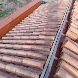 Łukasz Lipka - Firma Malująca Dachy Rotmanka