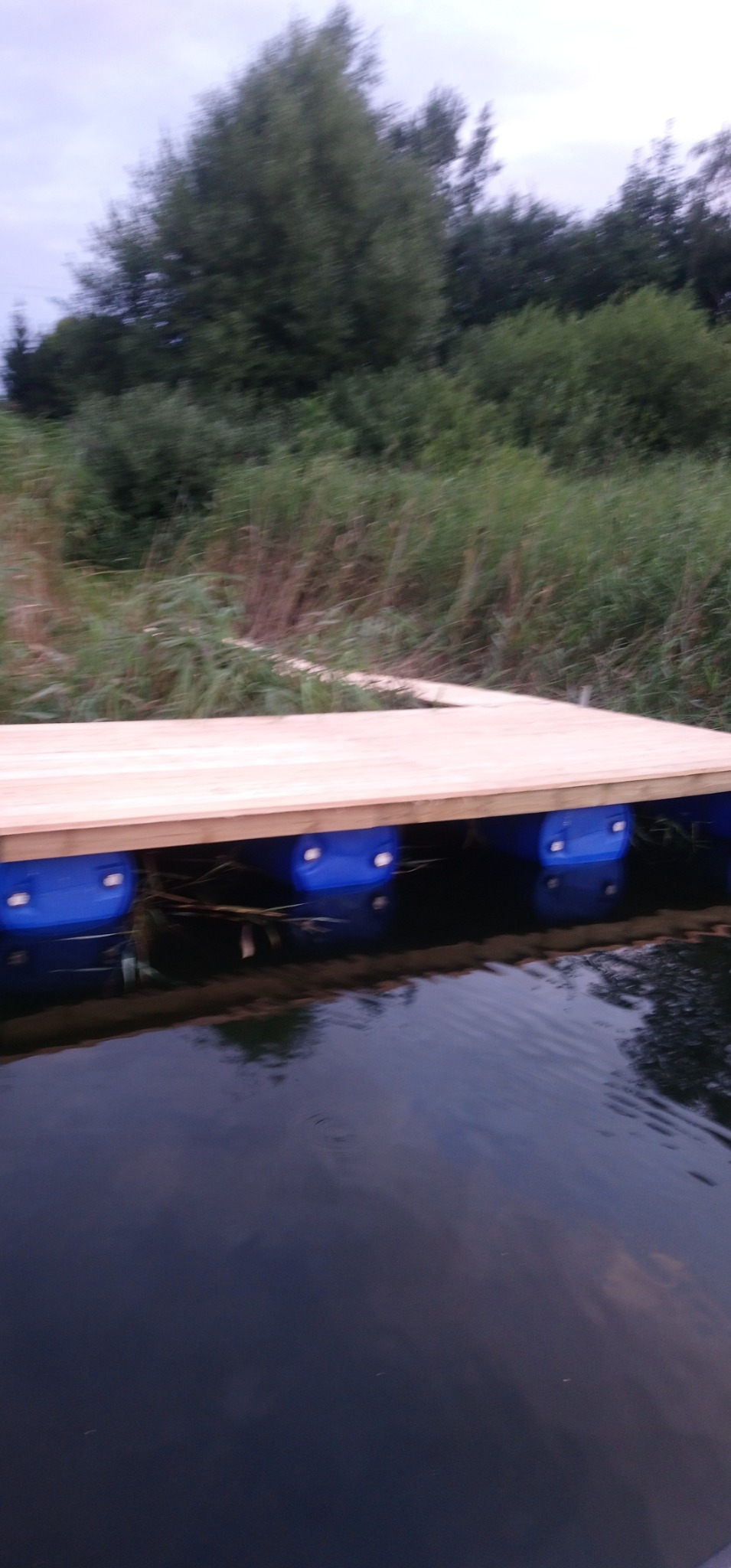 Niski kąt: pływający, drewniany pomost wsparty na niebieskich beczkach, z zielonym tłem roślinności i odbiciem w wodzie.