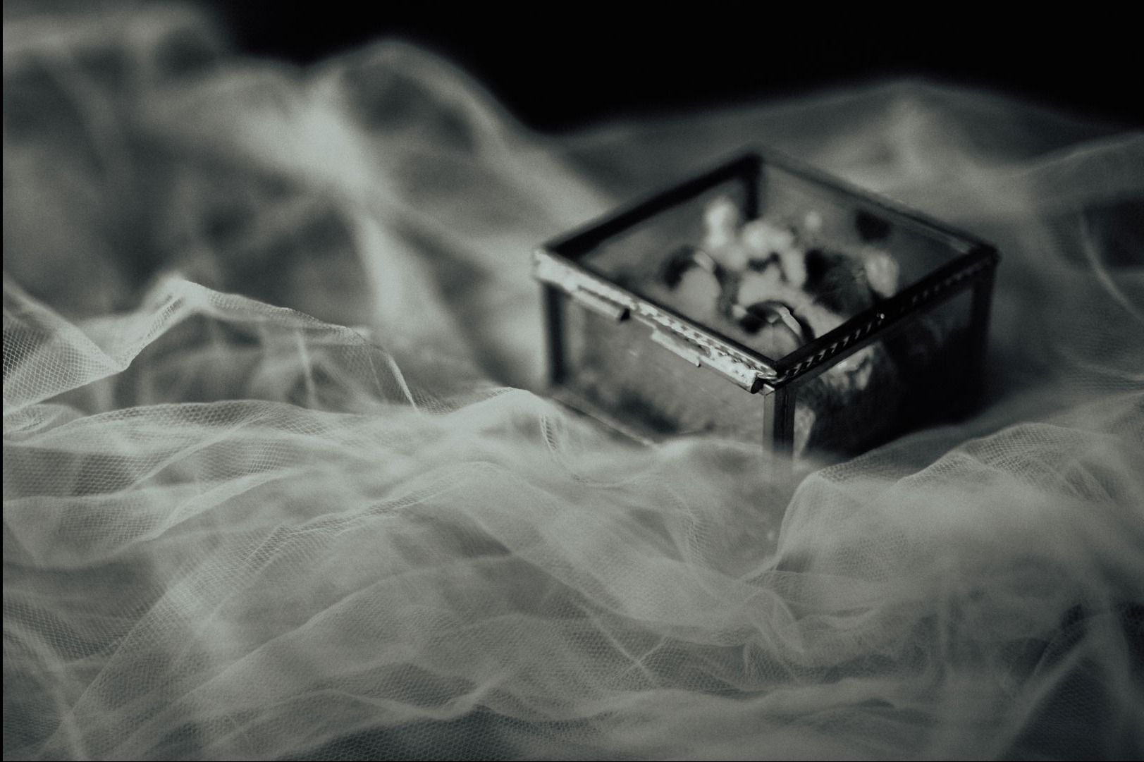 Czarno-białe zdjęcie otwartej, szklanej szkatułki z obrączkami, umieszczonej na delikatnej, białej tkaninie. Delikatne światło podkreśla detale.