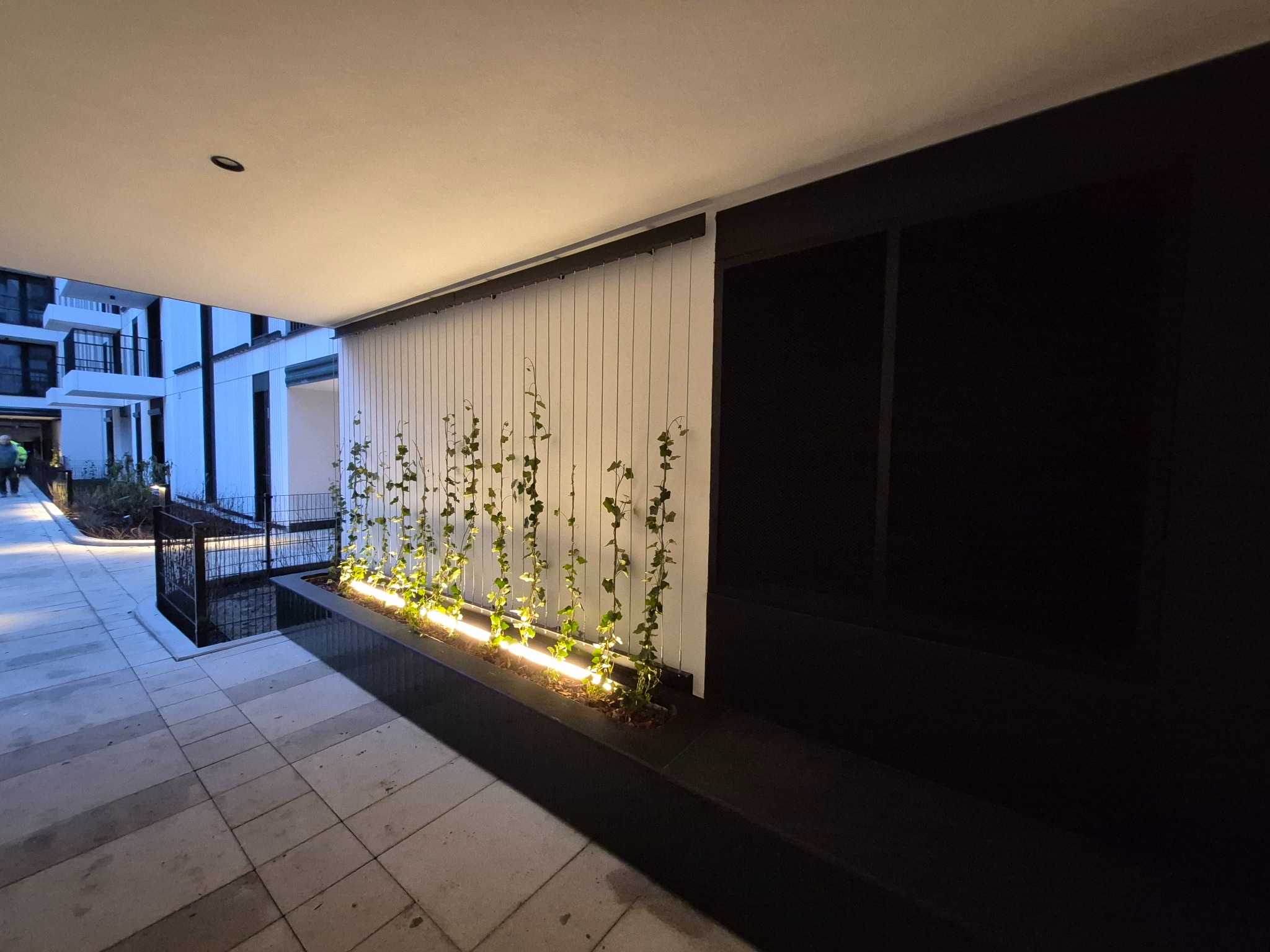 Nowoczesne oświetlenie elewacyjne: podświetlony pas zieleni z pnącymi roślinami na tle białej ściany z czarnymi elementami, oświetlenie wbudowane w podłoże.