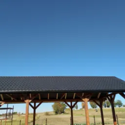 Drewniana pergola z czarnym dachem na tle błękitnego nieba i zieleni. Widok z dołu, ukazujący konstrukcję i otoczenie.