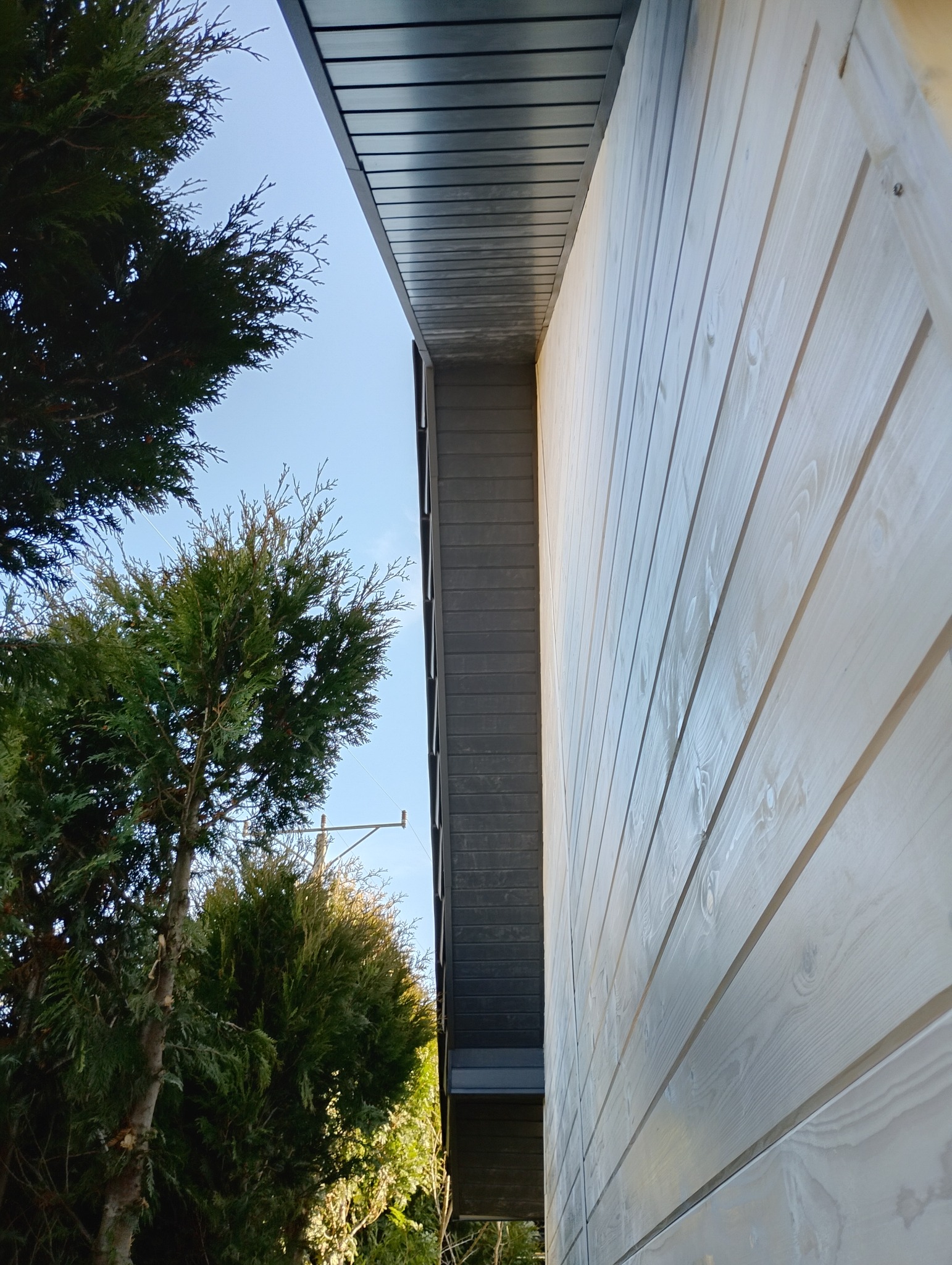 Fragment elewacji domu z jasnego drewna, widok z dołu, z ciemną podbitką dachową i zielonymi drzewami w tle, w słoneczny dzień.