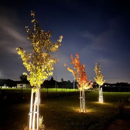 Pergola metalowa Włocławek 4