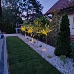 MD GARDEN - Dobra Trawa w Rolce Włocławek