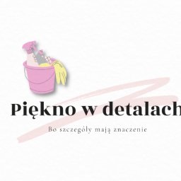 Piękno w detalach - Czyszczenie Okien Mława
