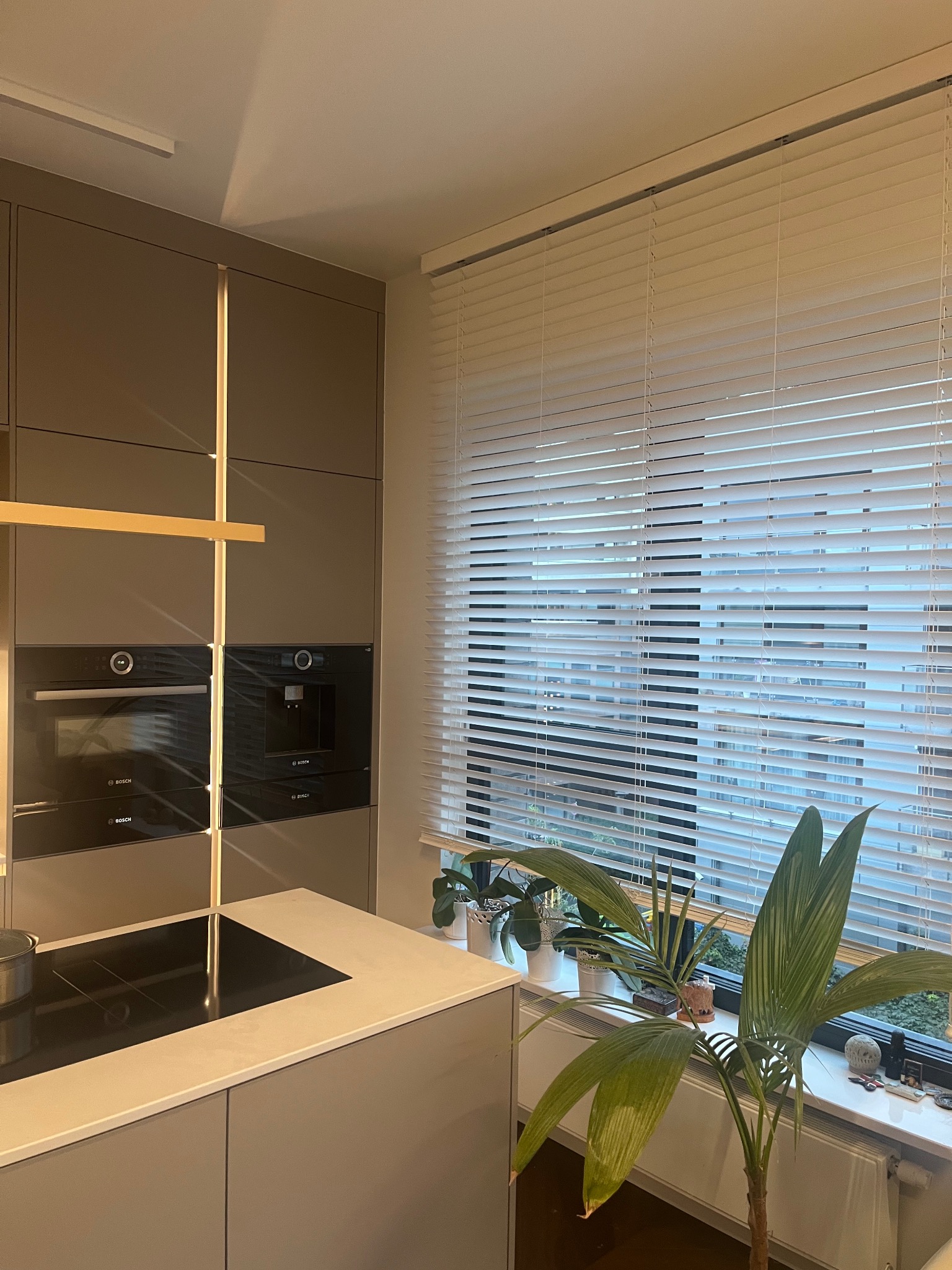 Nowoczesna kuchnia z zabudową w odcieniach szarości, oświetleniem LED i roślinami doniczkowymi na parapecie okna z żaluzjami.