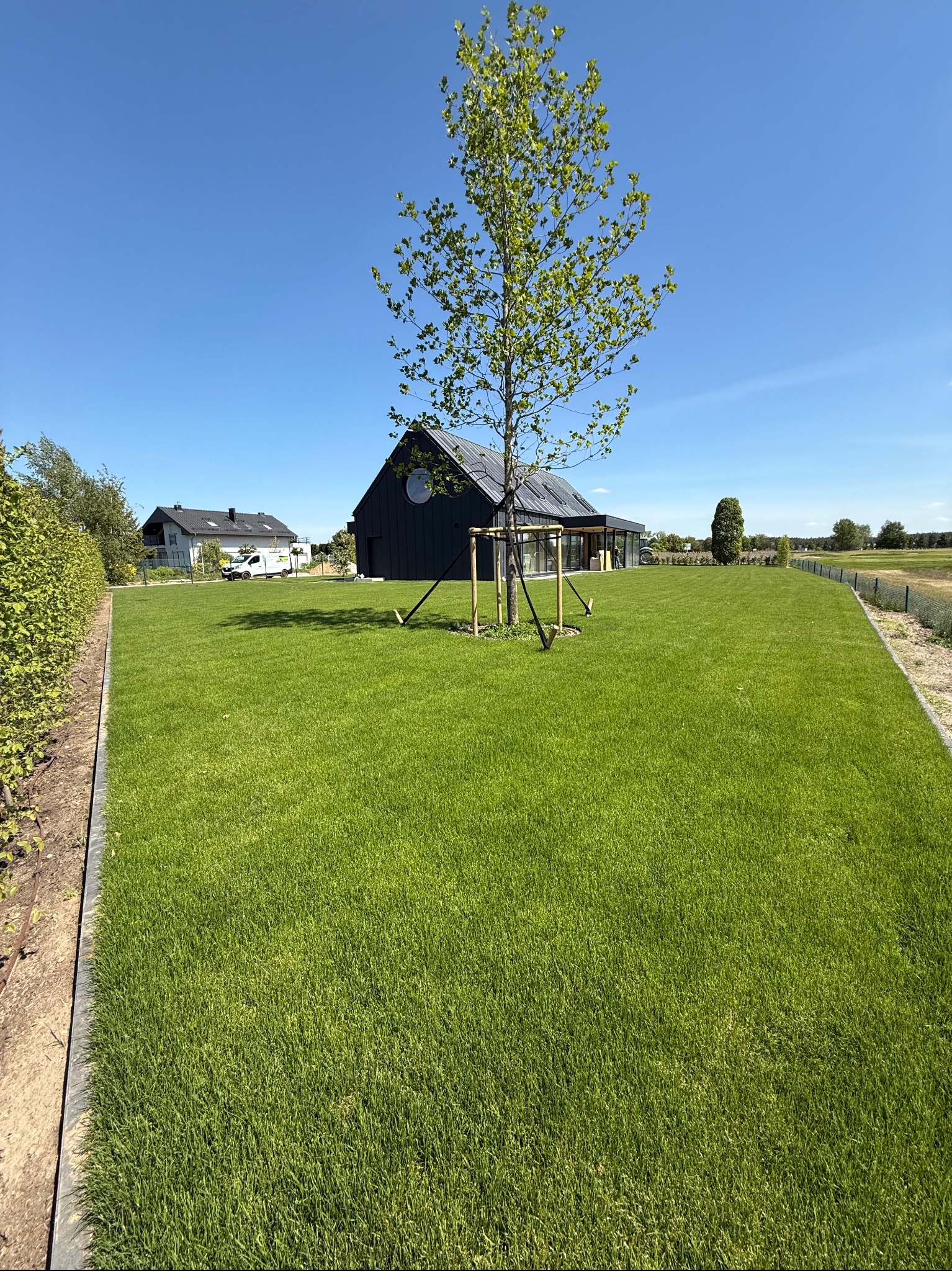 Starannie założony trawnik z rolki przed nowoczesnym domem z oknem w kształcie koła. Młode drzewo zabezpieczone podporami. Idealnie równa powierzchnia.