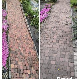 Czystość z Pasją Dawid Czyżycki - Efekt 'przed i po' mycia kostki brukowej. Po lewej czysta, czerwona kostka, po prawej zabrudzona, szara kostka. Widoczne kwiaty i rośliny po bokach ścieżki.