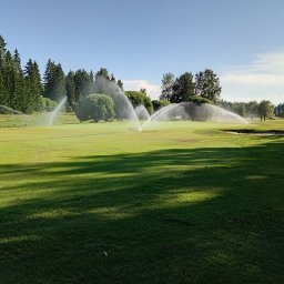 Marek Kolański Ogrody - Automatyczne nawadnianie trawnika na polu golfowym w Majdanie Królewskim. W tle drzewa i błękitne niebo. System rozpyla wodę szerokim strumieniem.