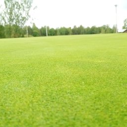 Marek Kolański Ogrody - Rozległy, soczyście zielony trawnik, przypominający pole golfowe, z drzewami w tle i słupem oświetleniowym w oddali, prezentuje efekt pielęgnacji.