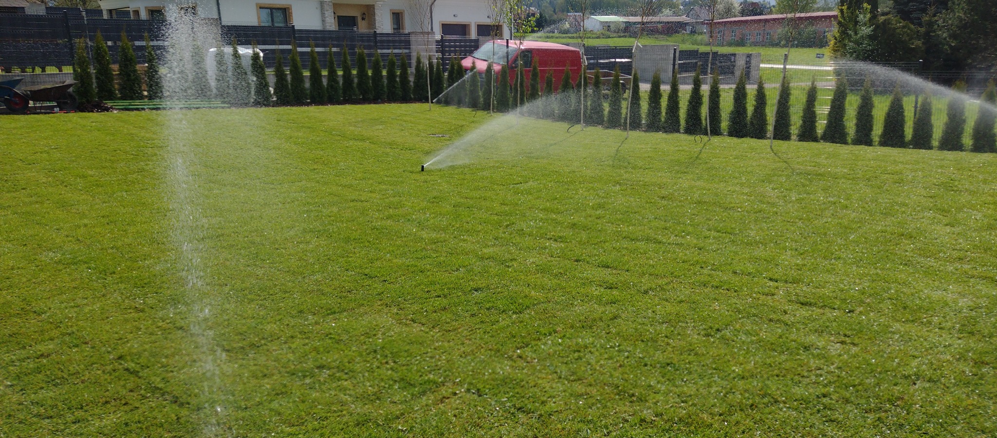 Zraszacze nawadniające soczyście zielony trawnik. W tle rząd tuj i czerwony samochód dostawczy. Automatyczne nawadnianie trawnika w słoneczny dzień.